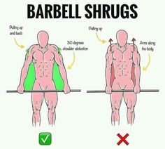 a diagram showing how to use the barbell shruts for back and shoulders