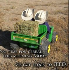 two hats are sitting on the back of a green toy truck with hay in it