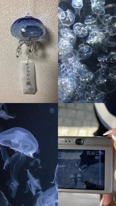 there are pictures of jellyfish in the water, and one is holding a cell phone