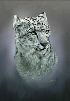 a drawing of a snow leopard's face with green eyes and white fur on a black background