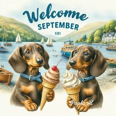 two dachshund puppies eating ice cream in front of a lake with boats