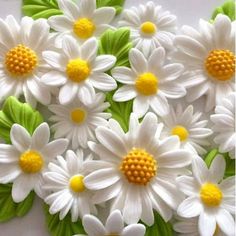 white daisies and green leaves are arranged on a table