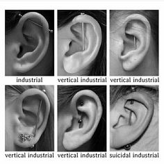 four different types of ear piercings with the words vertical, vertical, and vertical