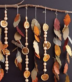 an assortment of oranges and leaves hanging from a branch with beads on the strings