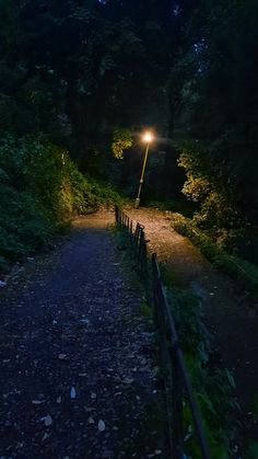 a path in the woods at night with a street light on it's side