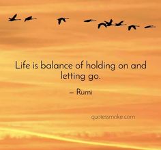 birds flying in the sky at sunset with a quote about life is balance holding on and letting