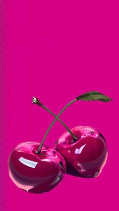 two red cherries on a pink background