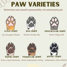 the paw varieties for different types of paws