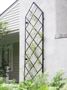 Grow Compact Clematis in Containers | Gardeners.com Patio Planter Boxes, Gable Wall, Climbing Plant Support, Iron Trellis, Metal Trellis, Trellis Ideas, Patio Planters, Plant Supports