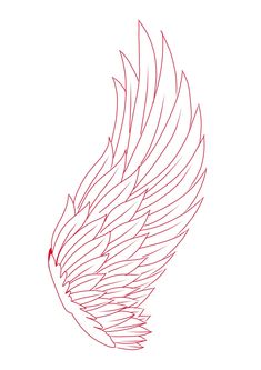 the outline of an angel's wing is shown in red ink on a white background