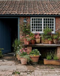 several potted plants are sitting on a brick wall near a blue door and window