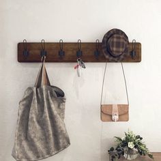 two purses hanging from hooks on a wall next to a potted plant and hat rack