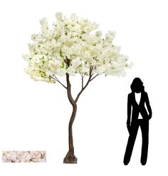 a woman standing next to a tree with white flowers on it and another silhouette behind her