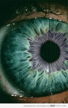 adorkablegeek5 Edgy Boho, Foto Macro, Eye Close Up, Beautiful Eyes Pics, Eye Pictures, 캐릭터 드로잉