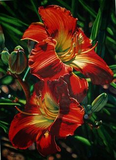 a painting of two red flowers with green leaves in the background and water droplets on the petals