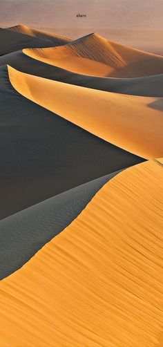 sand dunes in the desert at sunset