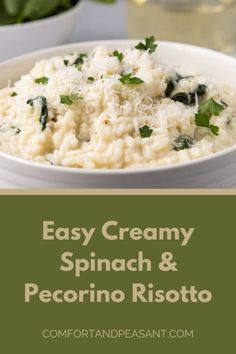 creamy spinach and pecorino risotto in a white bowl with parsley on top