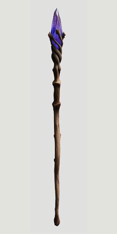 a tall wooden stick with a purple crystal on it's tip and an intricate design