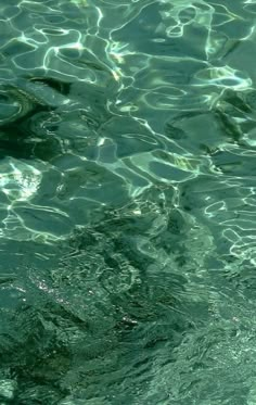 the water is very clear and blue with little ripples on it's surface