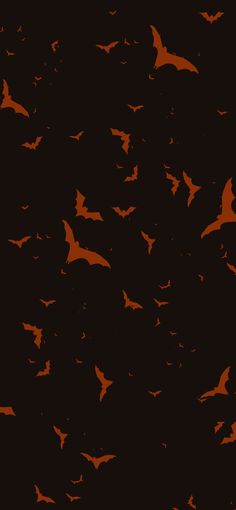 many bats are flying in the dark night sky with orange glow on their wings and black background