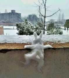 a snow bunny is standing on its hind legs in front of a snowy cityscape