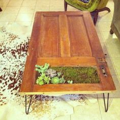 a coffee table with some plants in it on top of a cow hide rug next to a chair