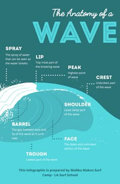 the anatomy of a wave info poster