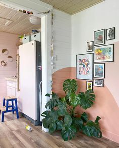 a room with pink walls and pictures on the wall, including a plant next to a refrigerator