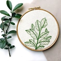 a green leaf is shown on a white surface next to a plant with leaves in it