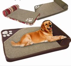 a dog laying on top of a mat with paw prints in front of the mats