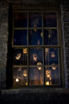 the faces of monkeys are reflected in an old brick building's glass block window