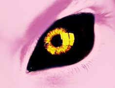 the eye of a cat with yellow iris