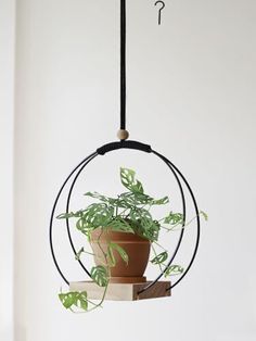 a potted plant hanging from a black metal ring