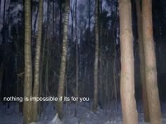 the woods are covered in snow and there is a quote written on the tree trunks