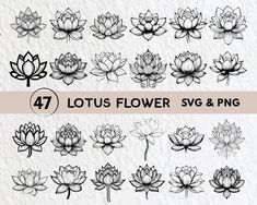 lotus flower svg and png