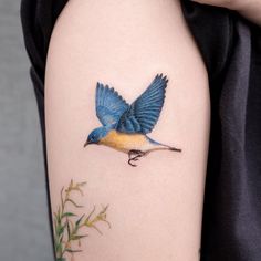 a blue bird with yellow wings on the back of a woman's shoulder and arm