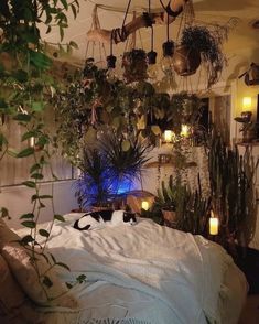 a room filled with lots of plants and hanging lights