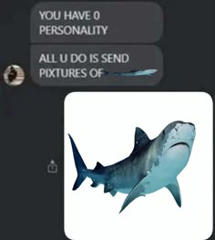 an image of a shark with the caption'you have 0 personality all u do is send pictures of '