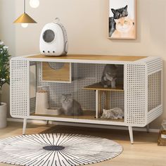 two cats sitting on top of a white shelf