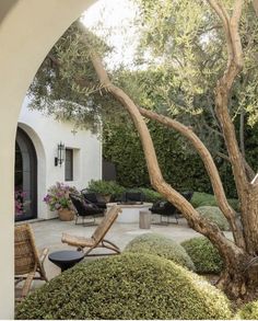 an outdoor living area with chairs and trees