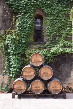 several wooden barrels stacked on top of each other in front of a building with ivy growing around it