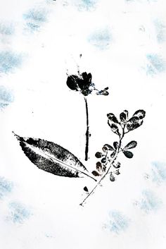 an ink drawing of a flower and leaves