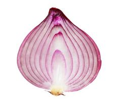 an onion cut in half on a white background