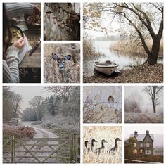 a collage of photos with animals and houses