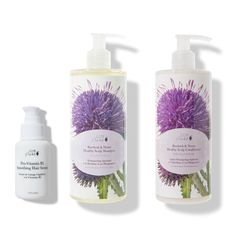 Healthy Scalp Trio Organic Hair Care, Scalp Shampoo, Healthy Scalp, Smooth Hair, New Releases, Natural Organic, Soap Dispenser, Mom Gift, Chemicals