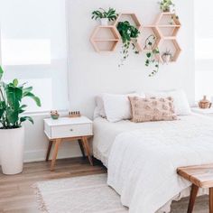 a bedroom with white bedding and wooden shelves on the wall, potted plants