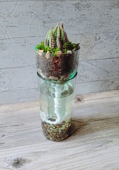 a glass vase with some plants in it