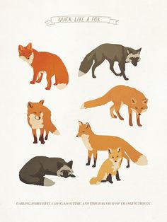 four different types of foxes are shown in this illustration, with the words our little fox above them