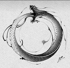 a black and white drawing of a snake in the shape of a circle with its tail curled