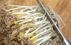 a pile of sprouts sitting on top of a wooden table next to a pair of scissors